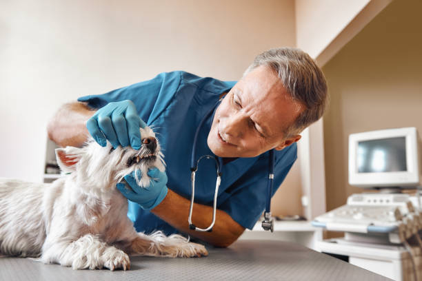Best Emergency Dental Extractions in Bandon, OR